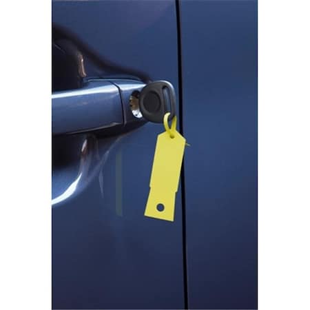 Petoskey Petoskey Fb-P9933-24 Yellow Key Tag - 1000 Package FB-P9933-24
